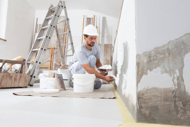 Best Painting for New Construction  in Monee, IL